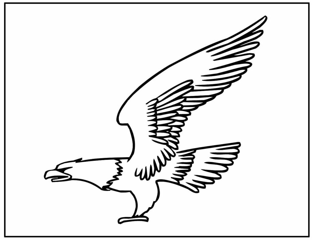 desenho de aguia 112