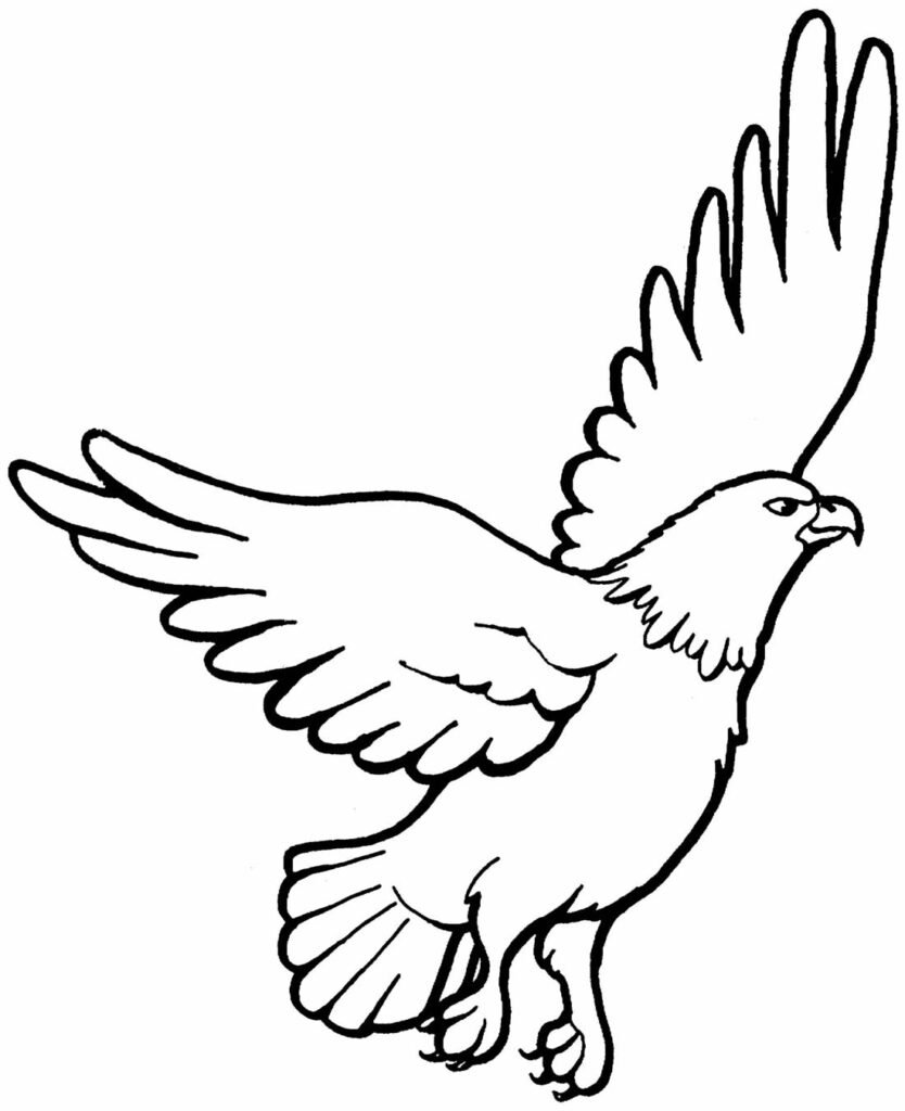 desenho de aguia 6