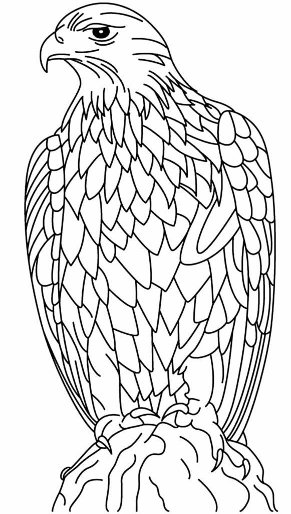 desenho de aguia para colorir 15