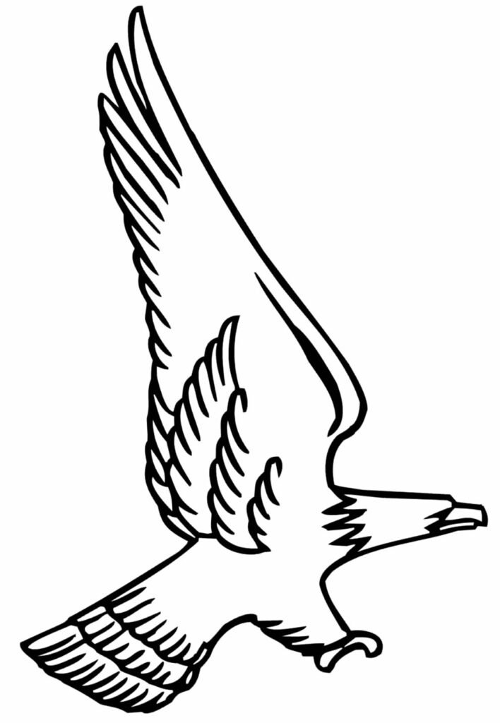 desenho de aguia para colorir 5
