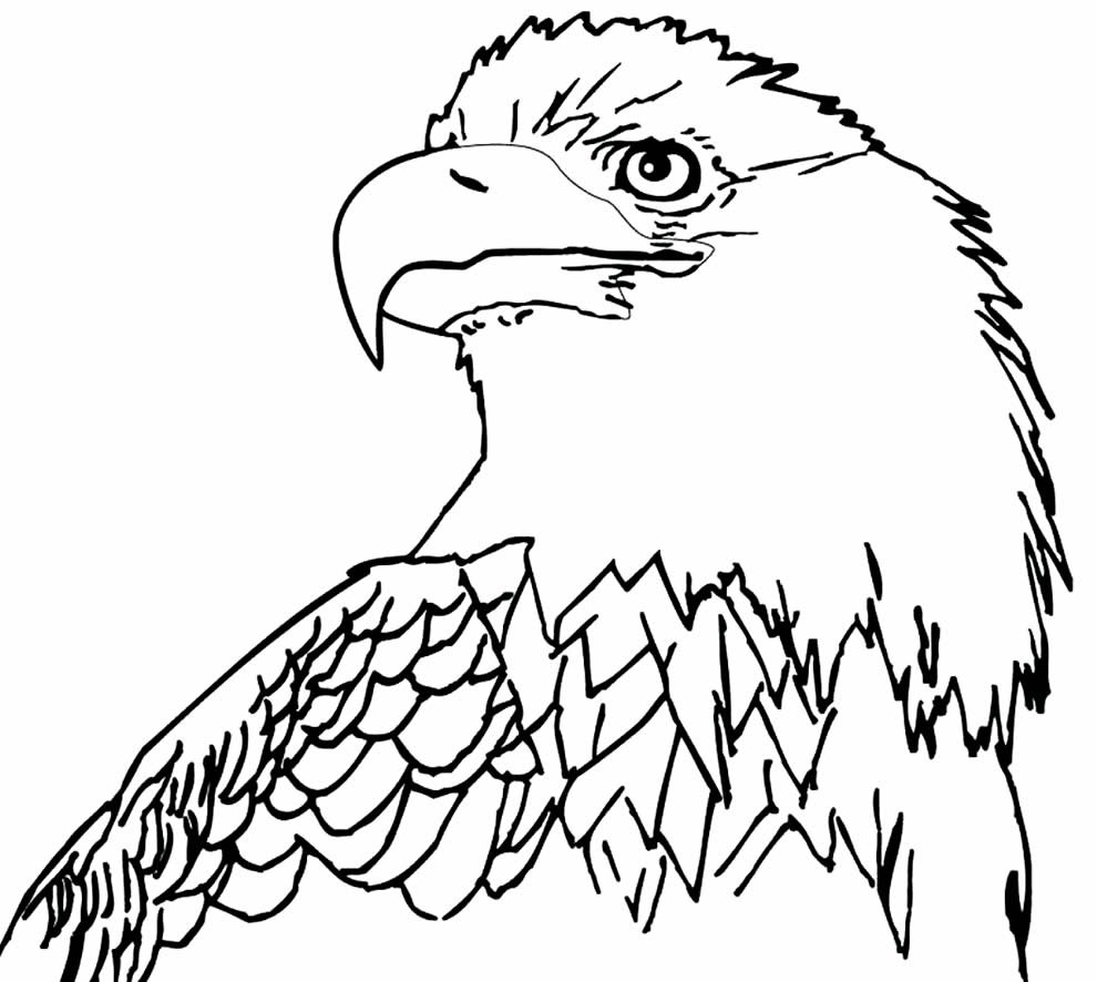 desenho de aguia para colorir 6