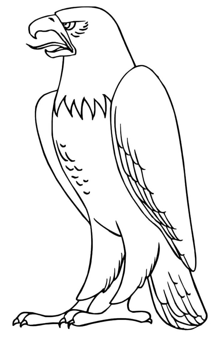 Desenhos de Águia para Colorir e Imprimir