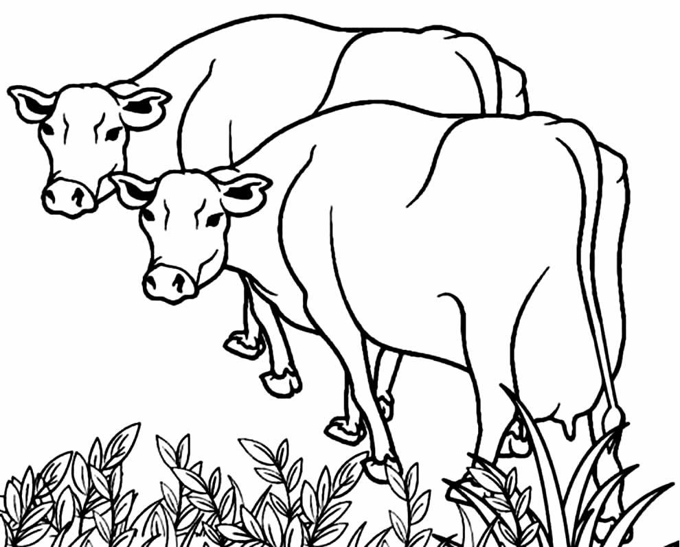 desenho de animais na fazenda 11 1