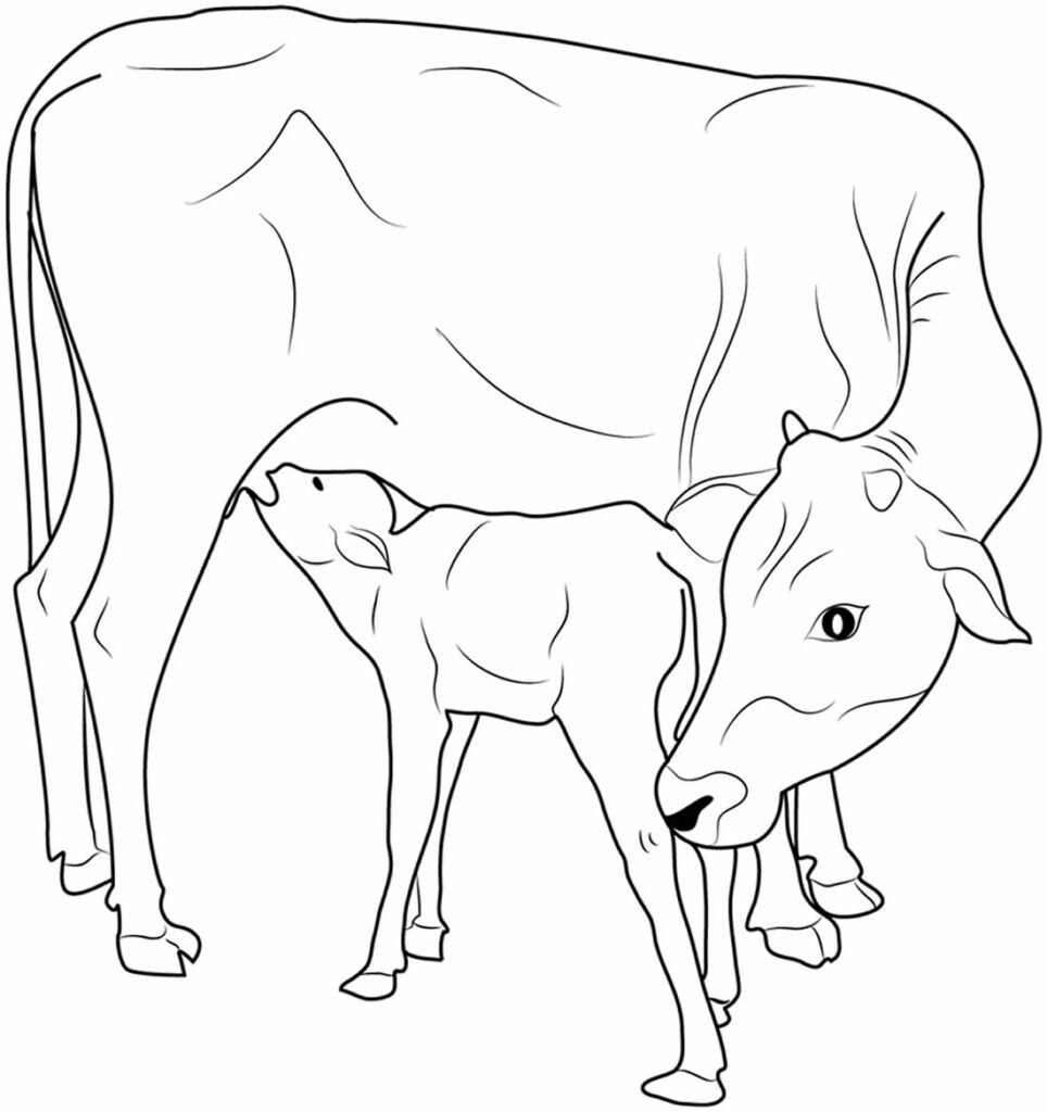 desenho de animais na fazenda 13 1