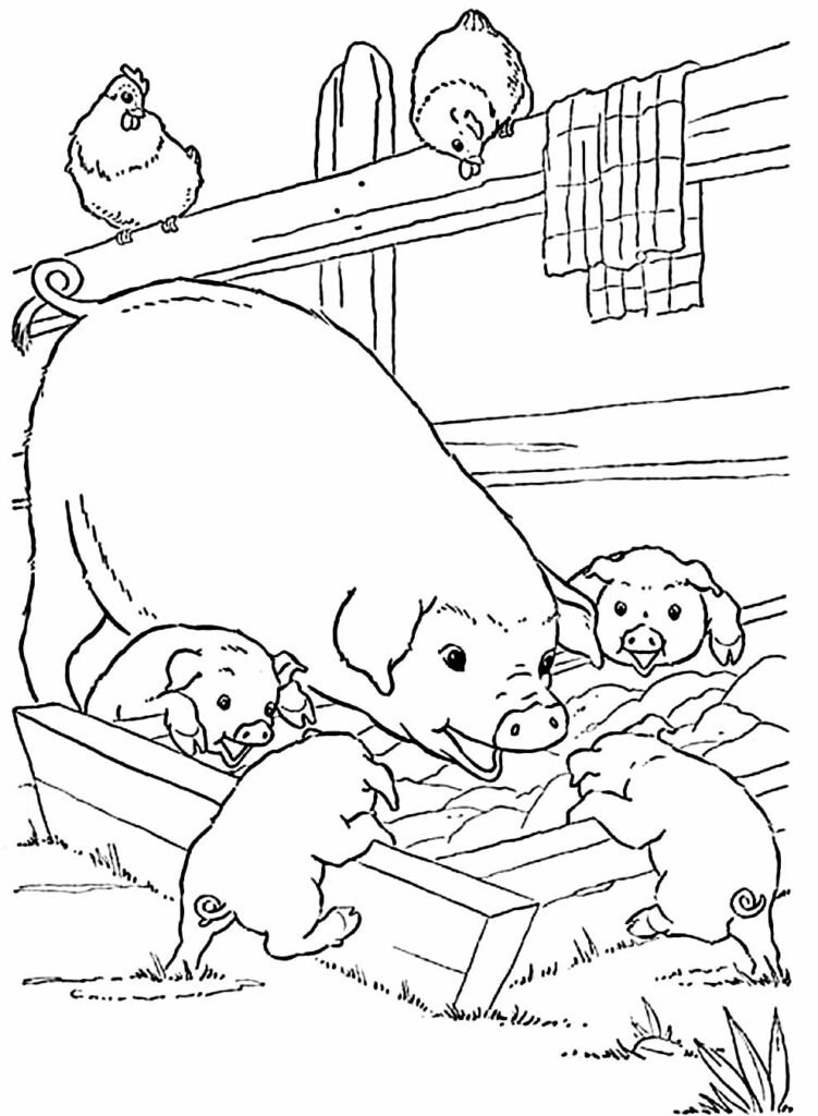 desenho de animais na fazenda 16