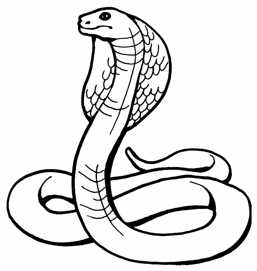 Desenhos de Cobra para Colorir e Imprimir