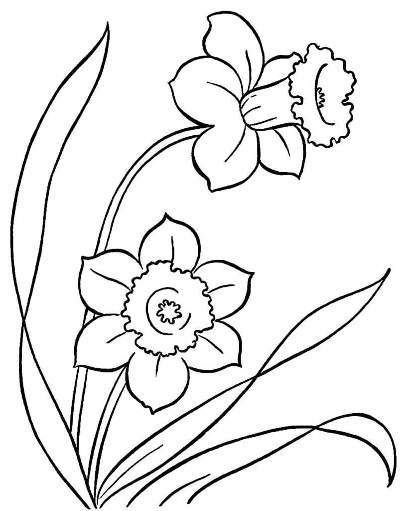 desenho de flores para colorir e pintar 12