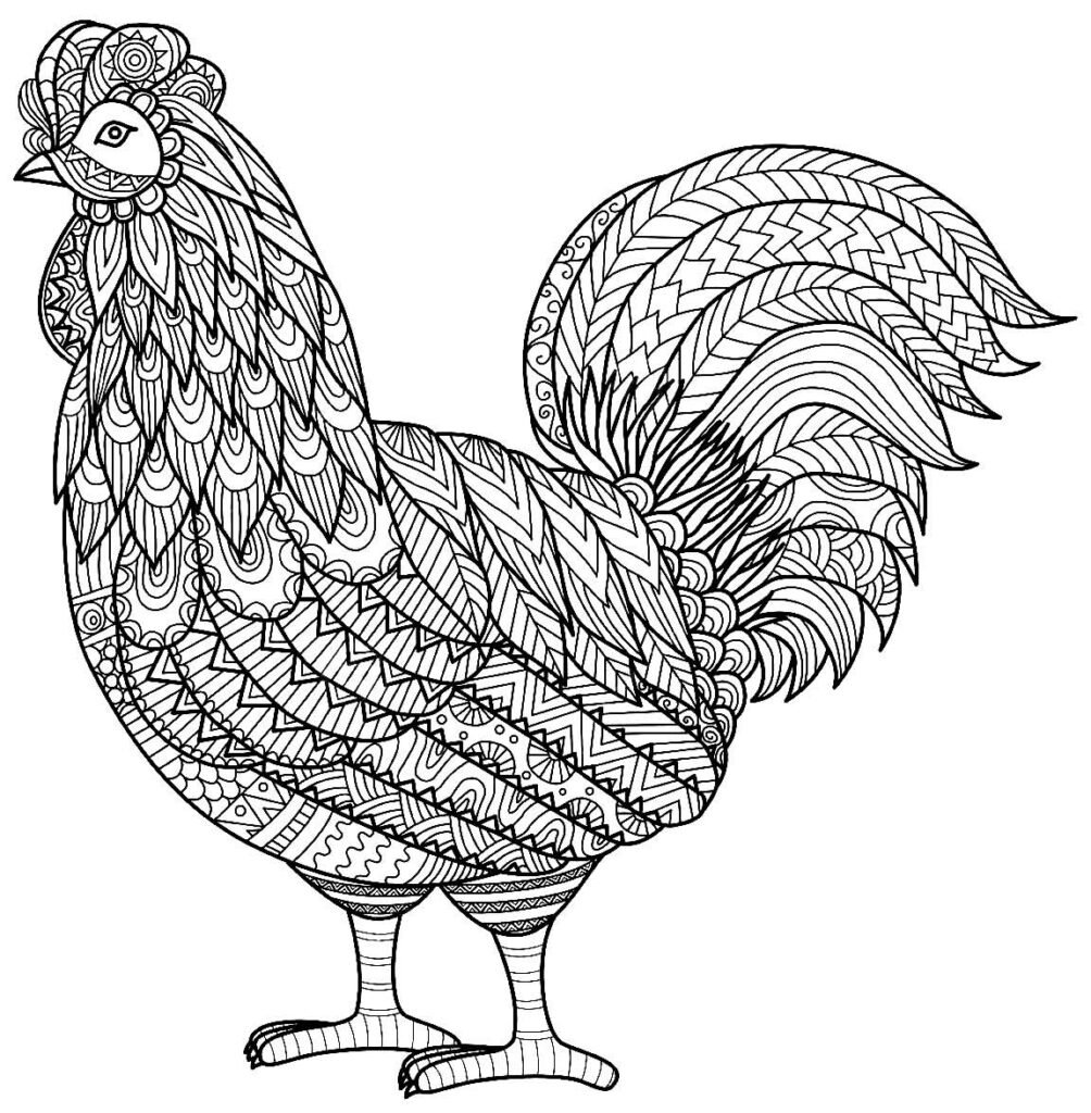 desenho de galinha 1