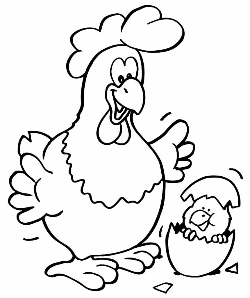 desenho de galinha 13 2