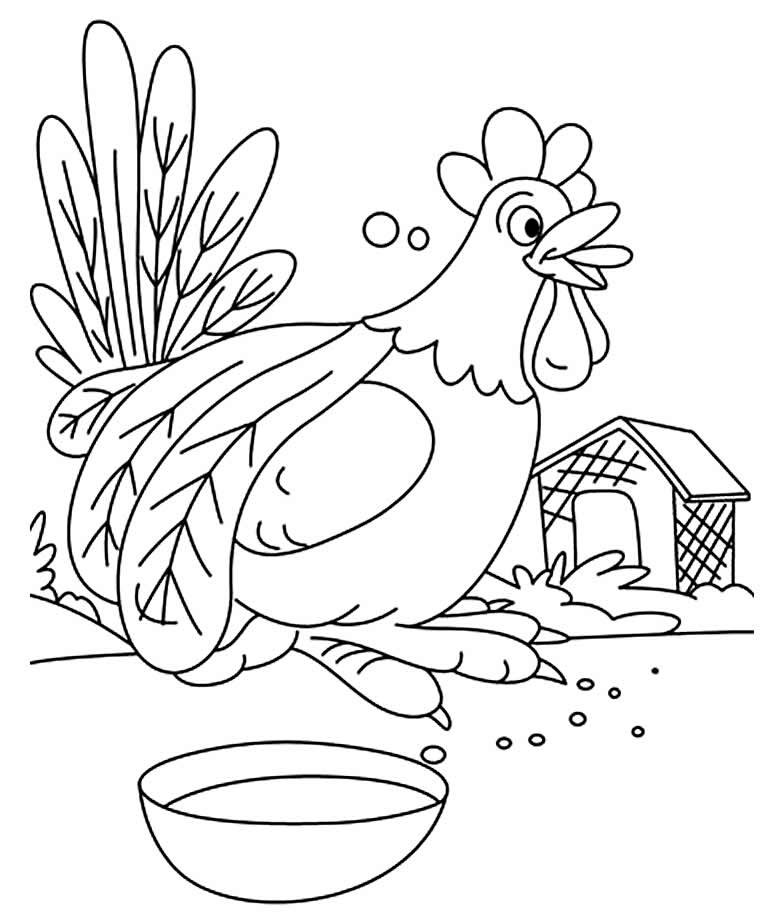 desenho de galinha 132