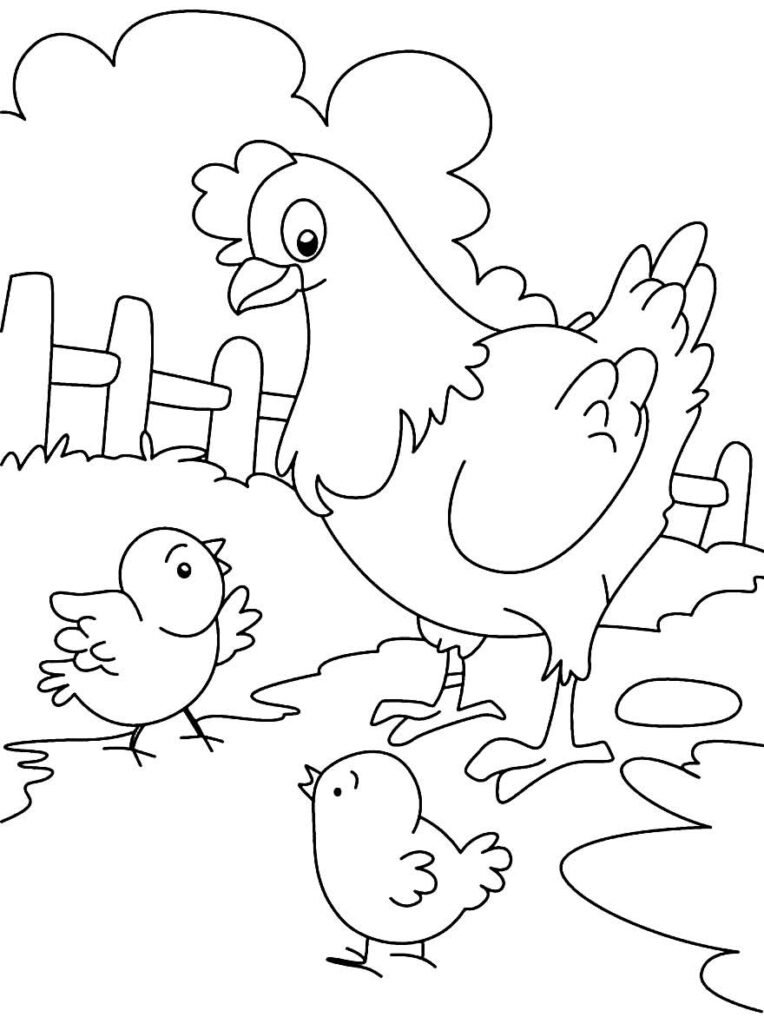 desenho de galinha 22