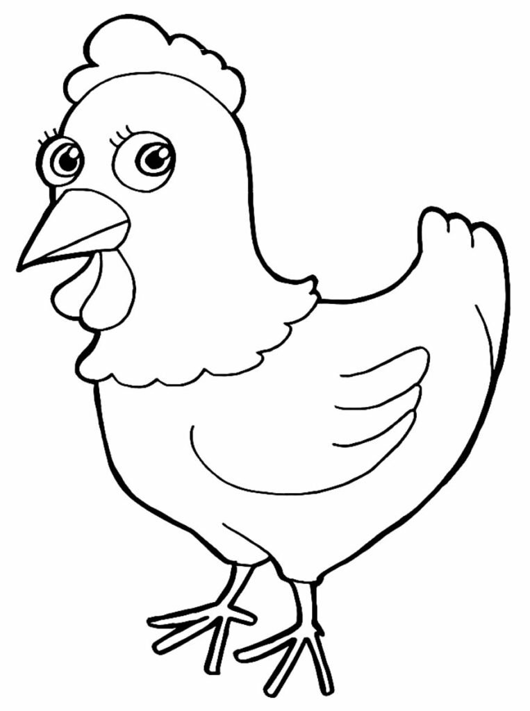 desenho de galinha 6 1