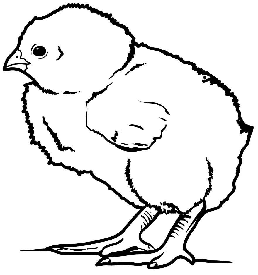desenho de galinha 82