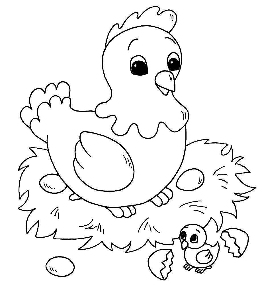 desenho de galinha 9