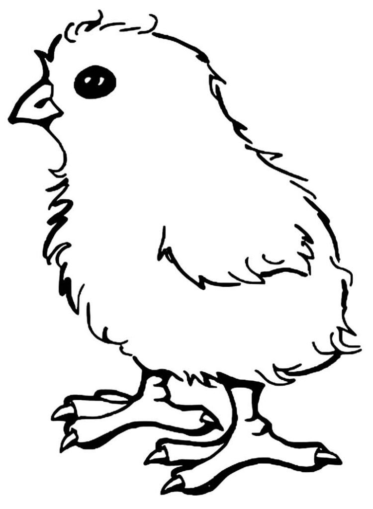 desenho de galinha 92