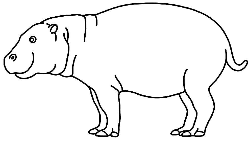 desenho de hipopotamo 5