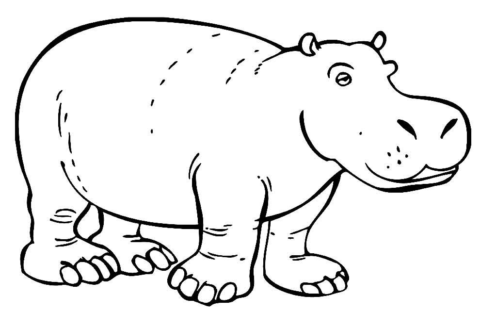 desenho de hipopotamo 6