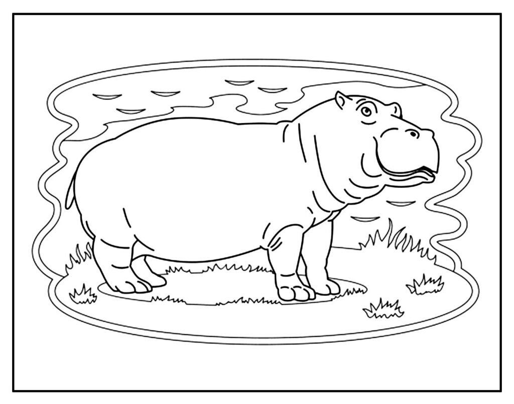 desenho de hipopotamo para pintar e colorir facil 1