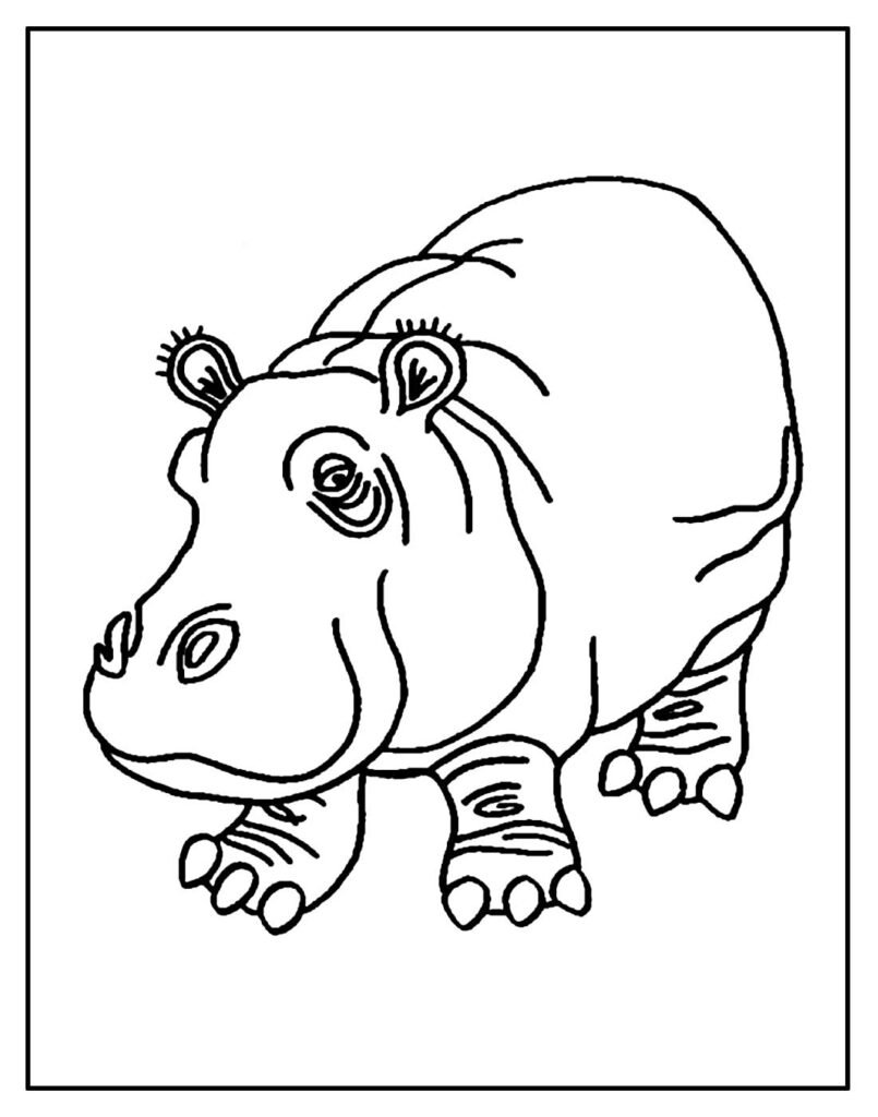 desenho de hipopotamo para pintar e colorir facil 4