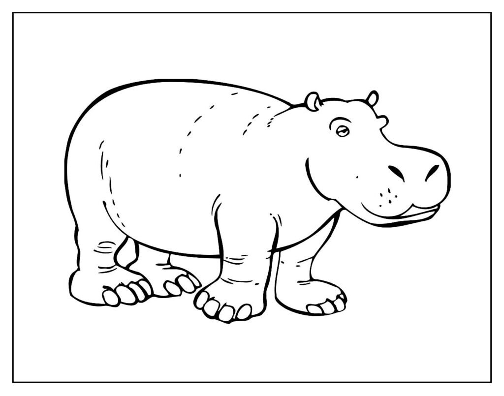 desenho de hipopotamo para pintar e colorir facil 5