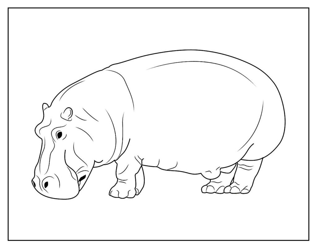 desenho de hipopotamo para pintar e colorir facil 6