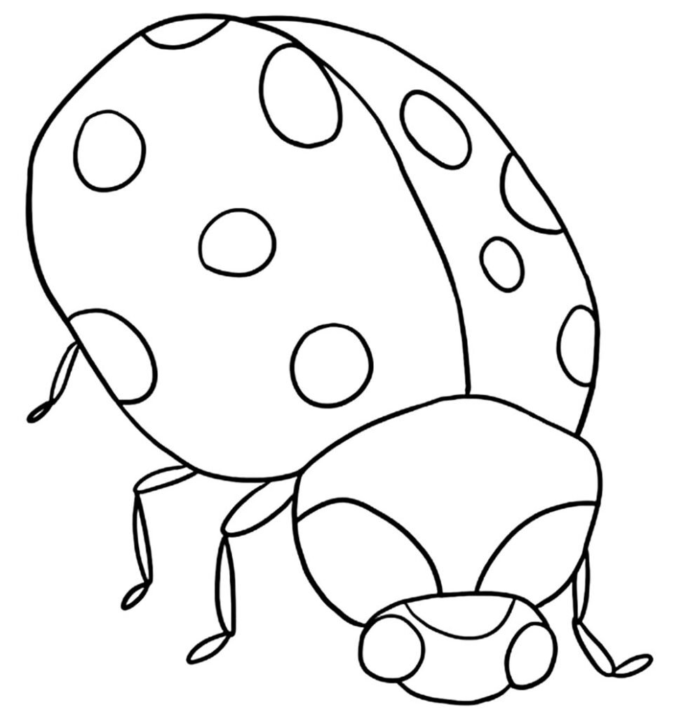 desenho de joaninha para colorir 1 1
