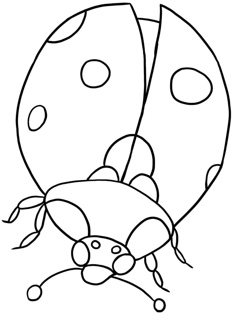desenho de joaninha para colorir 2 desenho de joaninha para colorir 2