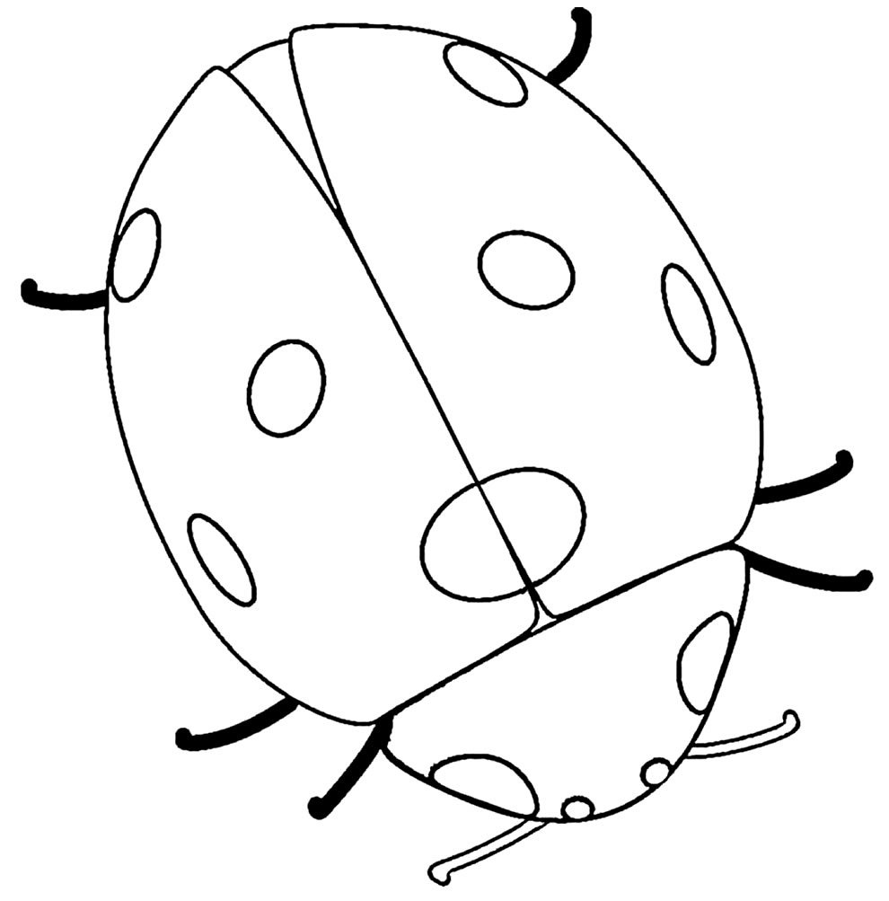 desenho de joaninha para colorir 6 desenho de joaninha para colorir 6