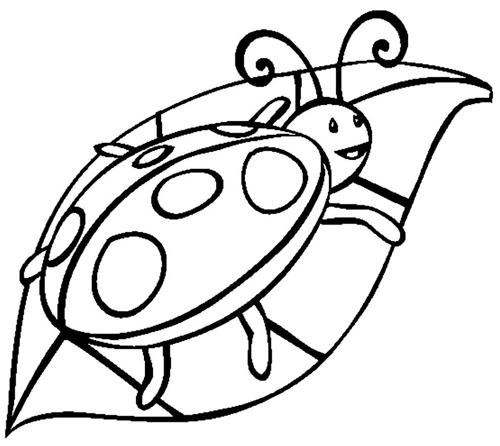 desenho de joaninha para colorir 8 1