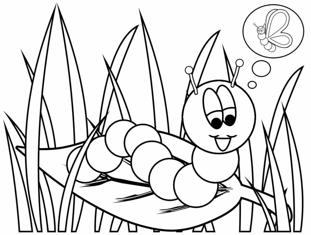 desenho de lagarta 11 1