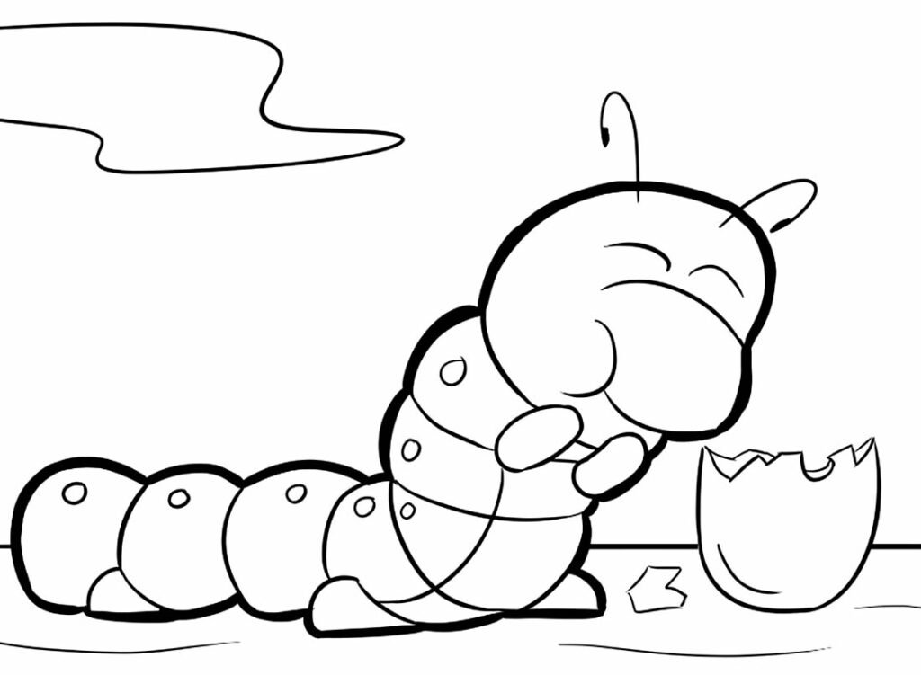 desenho de lagarta 13 1
