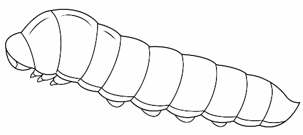 Desenho De Lagarta Para Colorir Para Crianças 6511 Vetor PNG , Desenhos De  Lagarta Para Colorir, Desenhos De Lagarta Faminta Para Colorir Pdf, Desenhos  Para Colorir De Lagarta Com Muita Fome Imagem