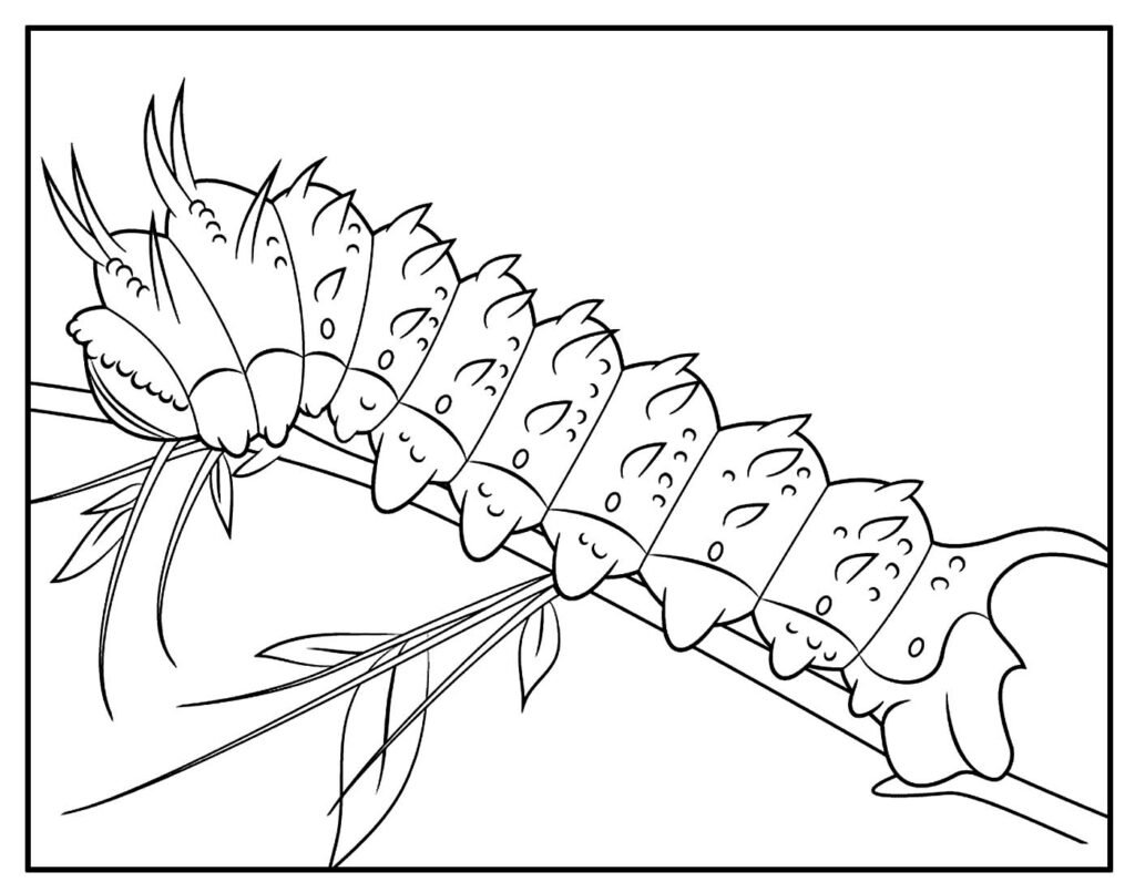 desenho de lagarta simples e facil de colorir 6