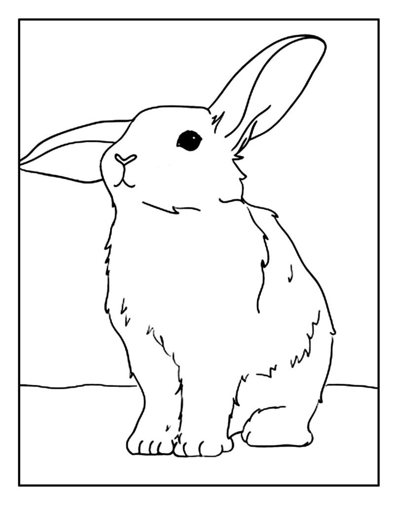 desenho de pascoa para pintar 4