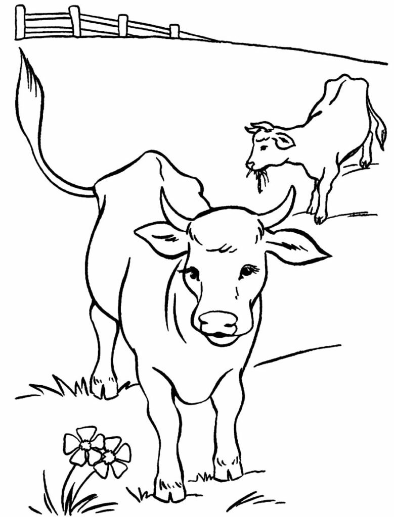 desenho de vaca 7 1
