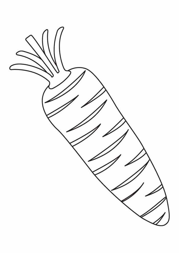 desenho infantil para colorir cenoura