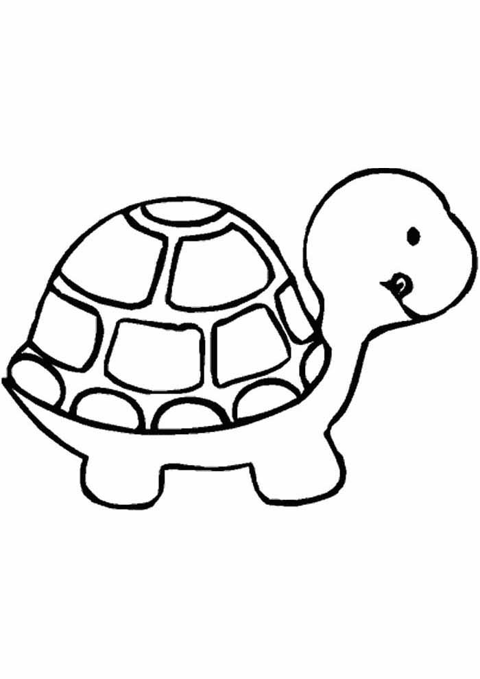 desenho infantil para colorir tartaruga desenho infantil para colorir tartaruga