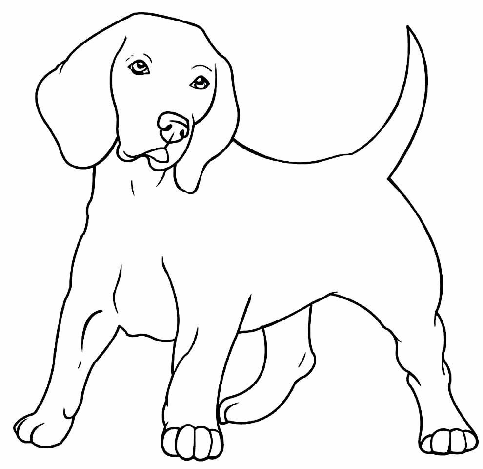 desenho realista para colorir 2