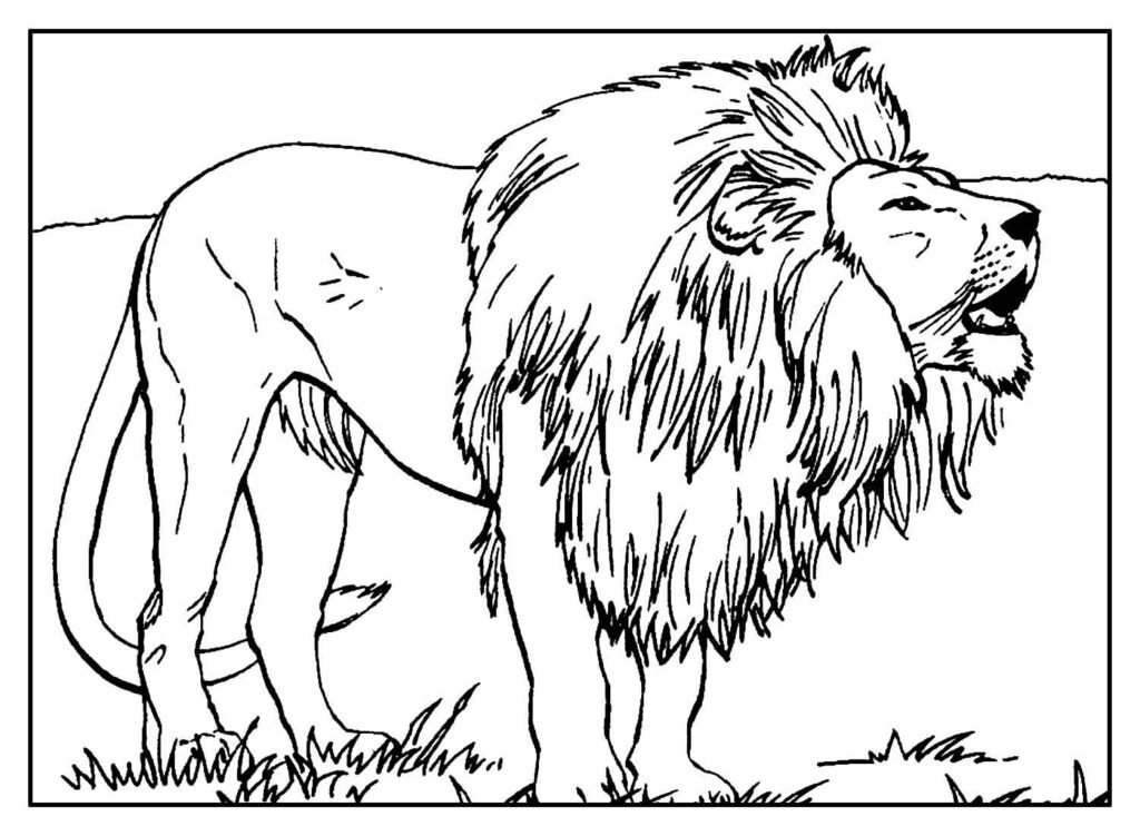 desenho realista para colorir 31 1024x751 1