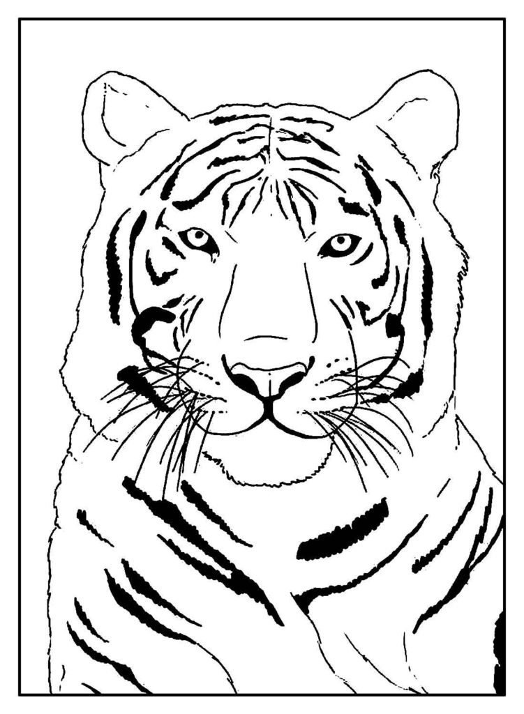 desenho realista para colorir 33 751x1024 1