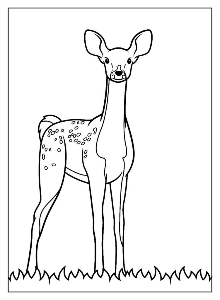 desenho realista para colorir 36