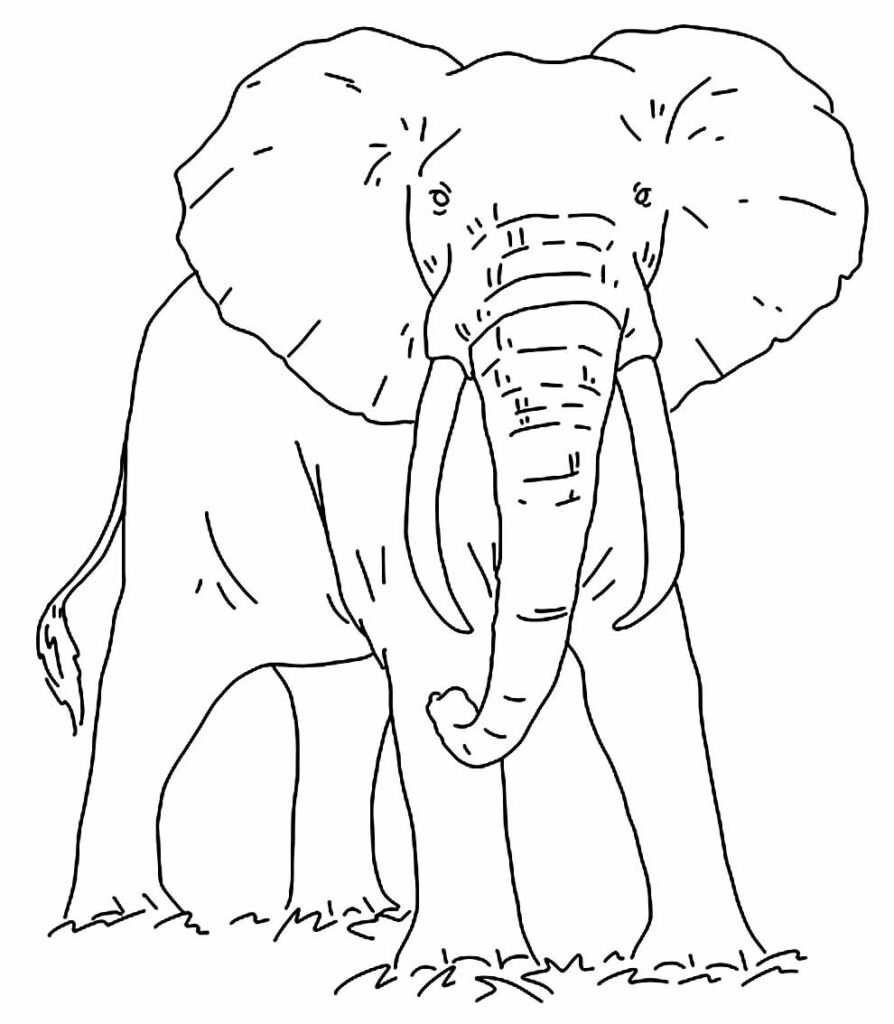 desenho realista para colorir 37