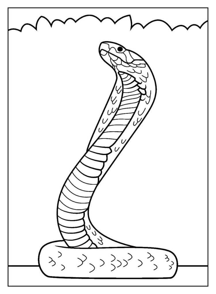 desenho realista para colorir 38