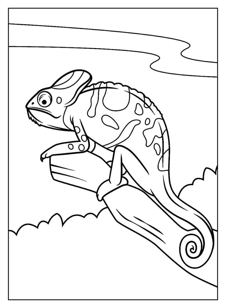 desenho realista para colorir 39