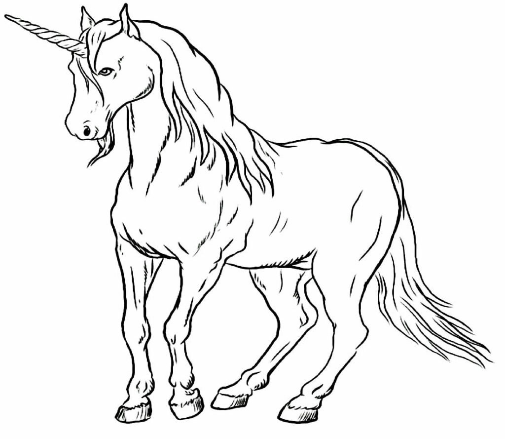 desenho realista para colorir 42