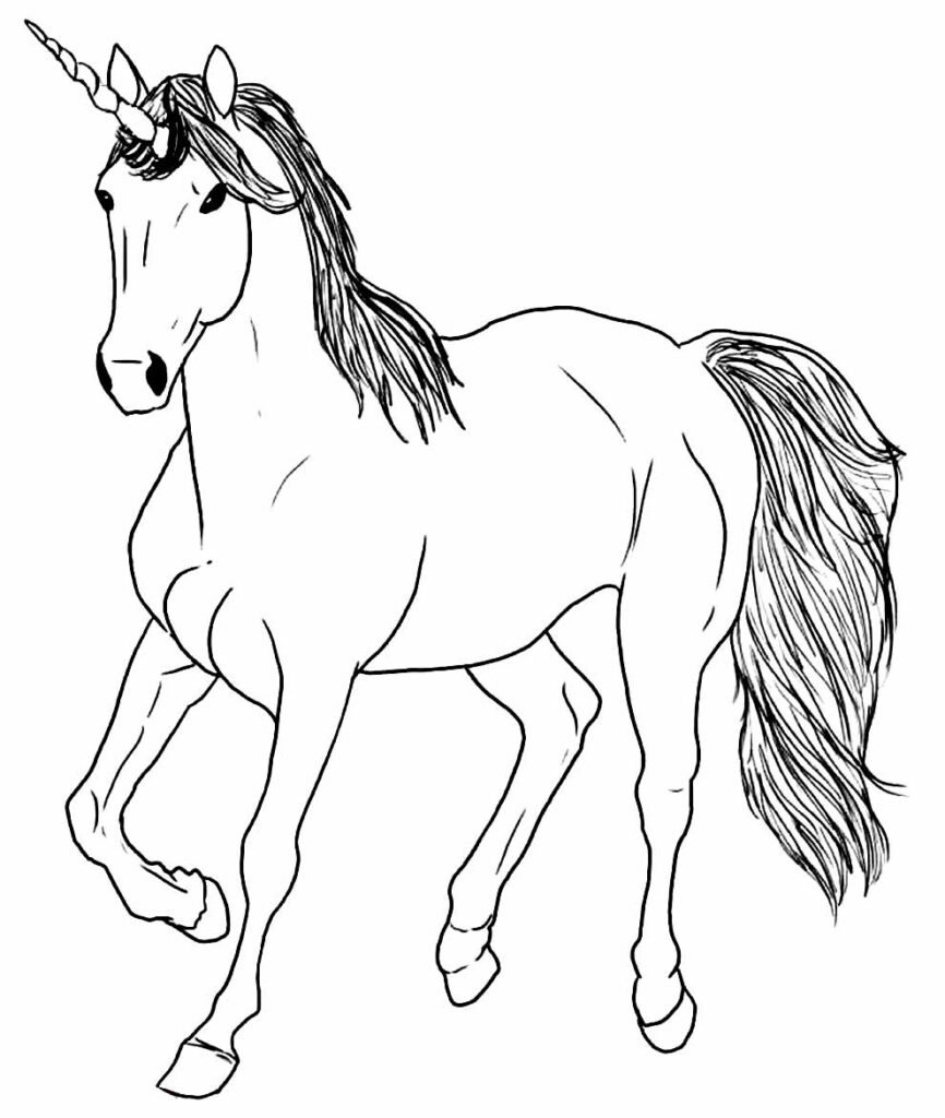 desenho realista para colorir 44