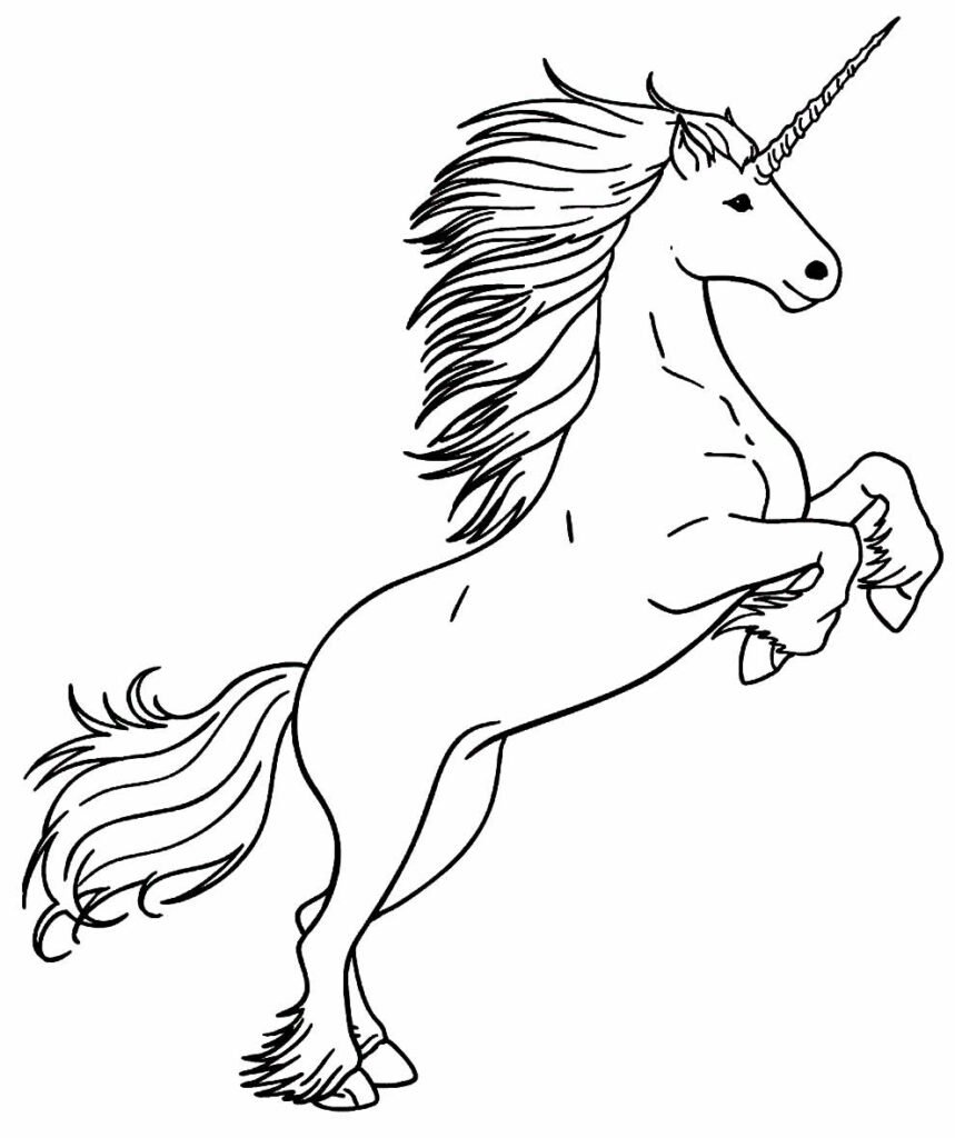 desenho realista para colorir 45