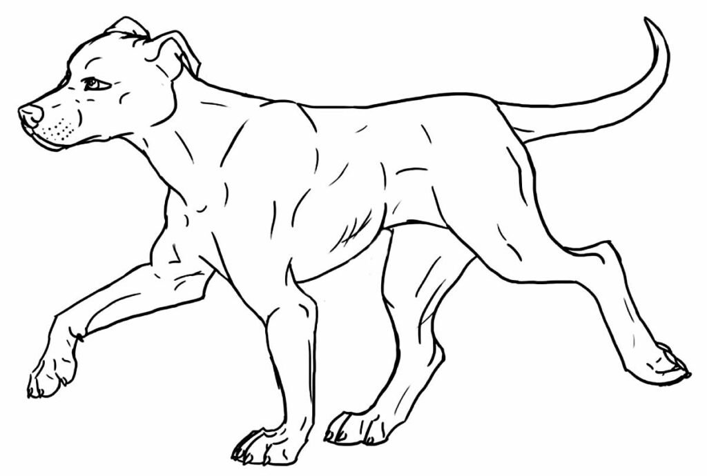 desenho realista para colorir 5