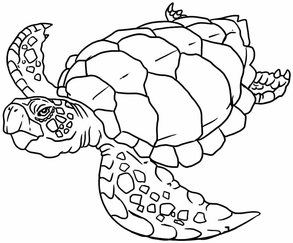 desenhos animais 4