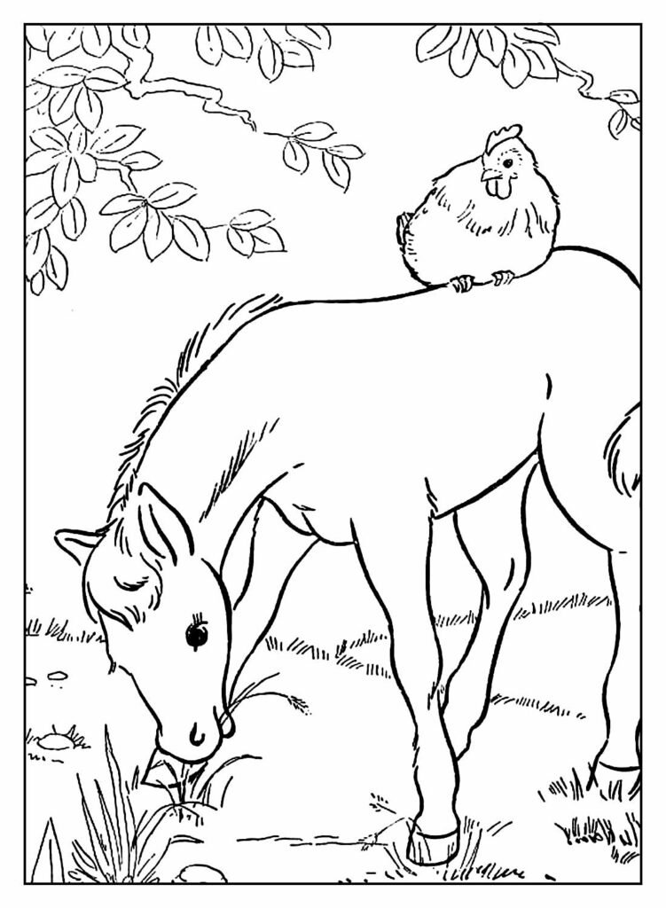 desenhos animais fazenda 4 1